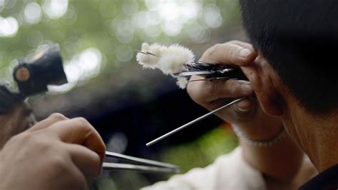 In China, Chengdu’s peculiar ear